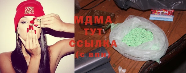 индика Беломорск