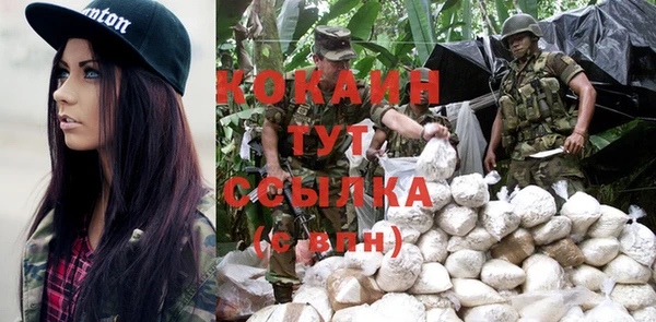 индика Беломорск