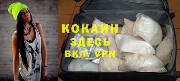шишки Покачи