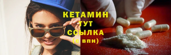 индика Беломорск