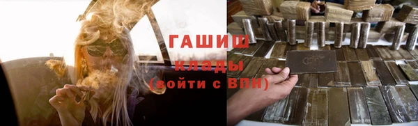 шишки Покачи
