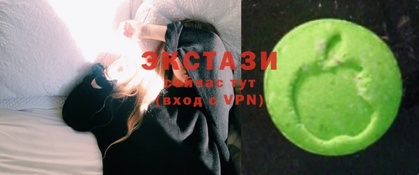 индика Беломорск