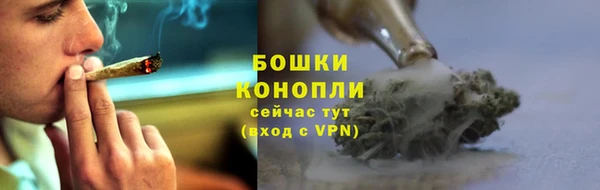 прущая мука Белокуриха