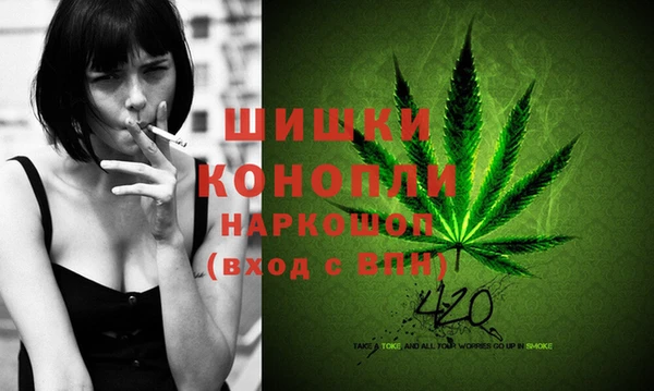 индика Беломорск
