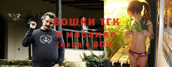 индика Беломорск